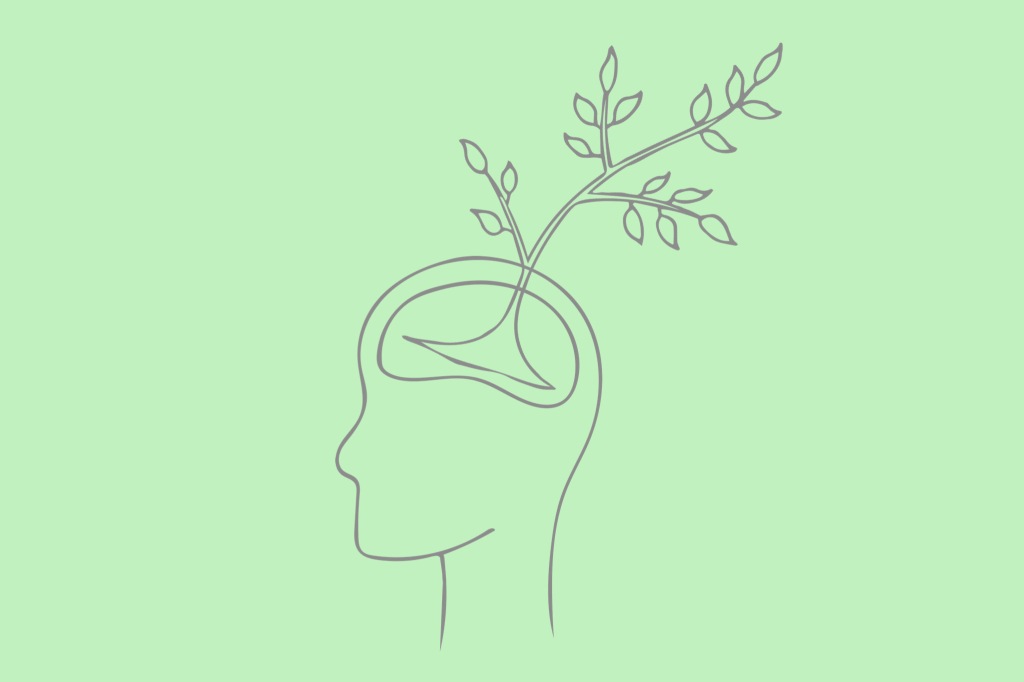 an illustration of a head with a tree growing out of it